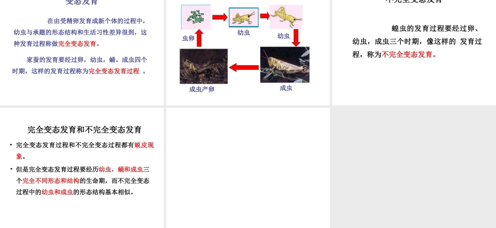 八年级生物下册 第八单元 生物的生殖、发育与遗传 第二十一章 生物的生殖与发育 第三节 昆虫的生殖与发育课件2（新版）苏教版-（新版）苏教版初中八年级下册生物课件