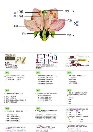八年级生物下册 第7单元 第1章 第1节 植物的生殖课件 （新版）新人教版-（新版）新人教级下册生物课件