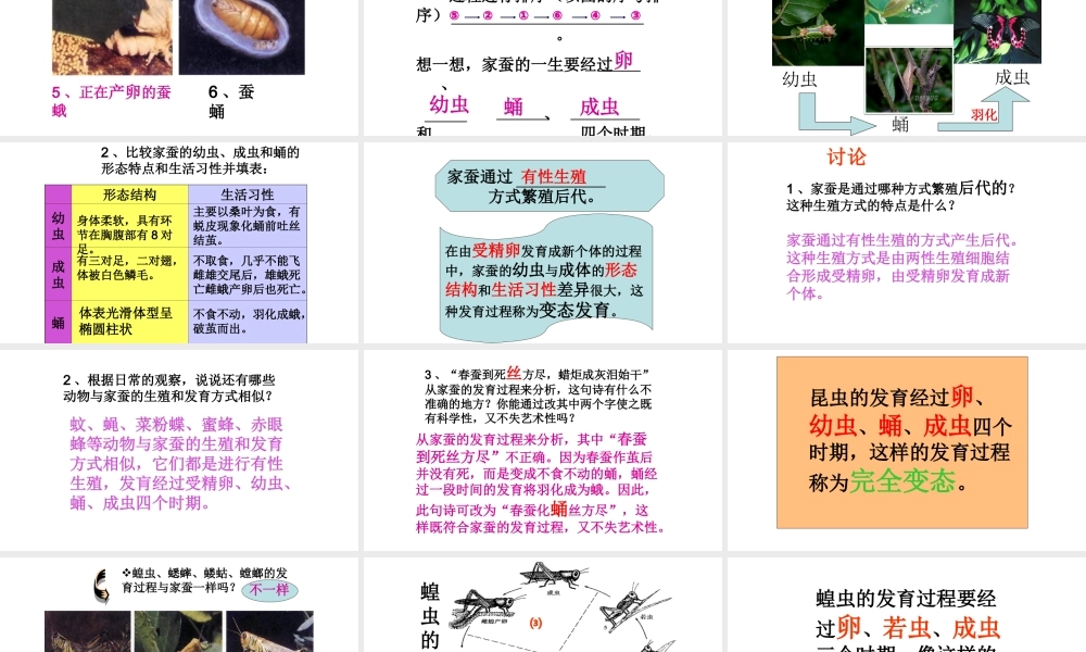 八年级生物下册 第7单元 第1章 第2节 昆虫的生殖和发肓课件 （新版）新人教版-（新版）新人教版初中八年级下册生物课件