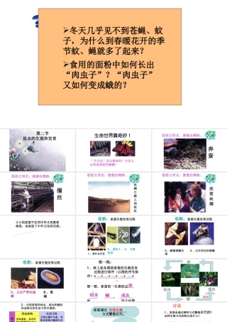 八年级生物下册 第7单元 第1章 第2节 昆虫的生殖和发肓课件 （新版）新人教版-（新版）新人教级下册生物课件