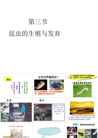 八年级生物下册 第八单元 生物的生殖、发育与遗传 第二十一章 生物的生殖与发育 第三节 昆虫的生殖与发育课件3（新版）苏教版-（新版）苏教版初中八年级下册生物课件