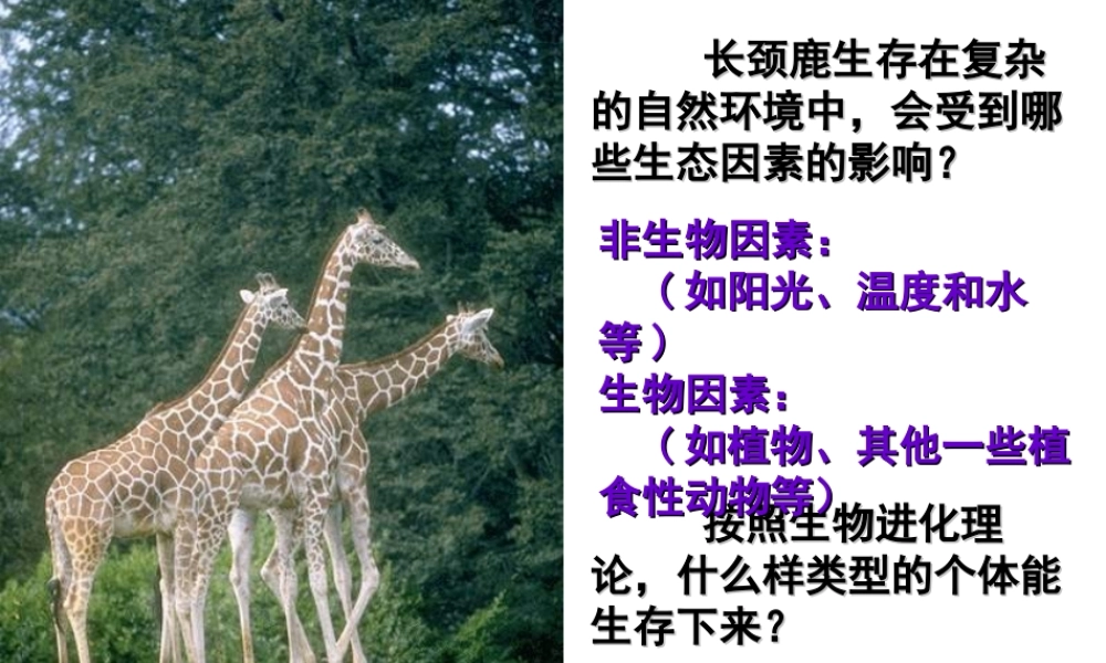 八年级生物下册 第7单元 第1章 第2节 生物对环境的适应和影响课件 （新版）冀教版-（新版）冀教版初中八年级下册生物课件