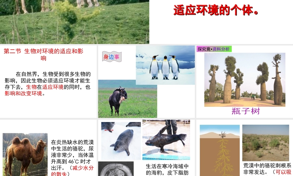 八年级生物下册 第7单元 第1章 第2节 生物对环境的适应和影响课件 （新版）冀教版-（新版）冀教版初中八年级下册生物课件