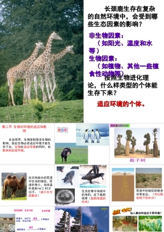 八年级生物下册 第7单元 第1章 第2节 生物对环境的适应和影响课件 （新版）冀教版-（新版）冀教版初中八年级下册生物课件