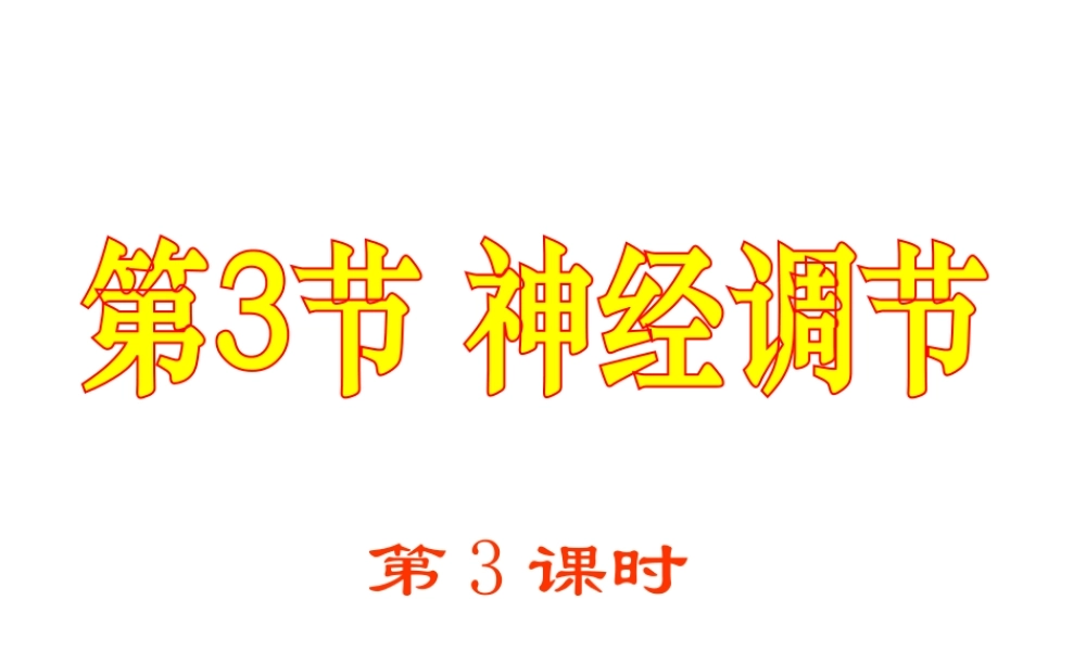 八年级科学上册 3.3 神经调节（第3课时）课件 浙教版