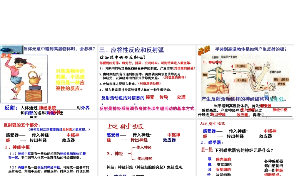 八年级科学上册 3.3 神经调节（第3课时）课件 浙教版