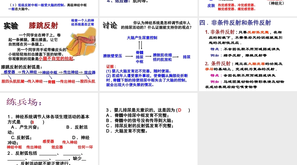 八年级科学上册 3.3 神经调节（第3课时）课件 浙教版