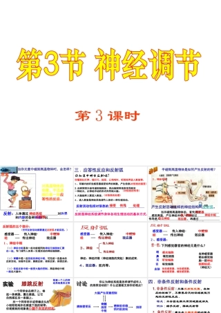 八年级科学上册 3.3 神经调节（第3课时）课件 浙教版