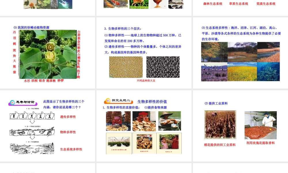 八年级生物下册 第9单元 第23章 第一节 生物多样性课件 苏教版