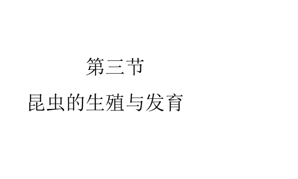 八年级生物下册 第八单元 生物的生殖、发育与遗传 第二十一章 生物的生殖与发育 第三节 昆虫的生殖与发育课件3（新版）苏教版-（新版）苏教级下册生物课件