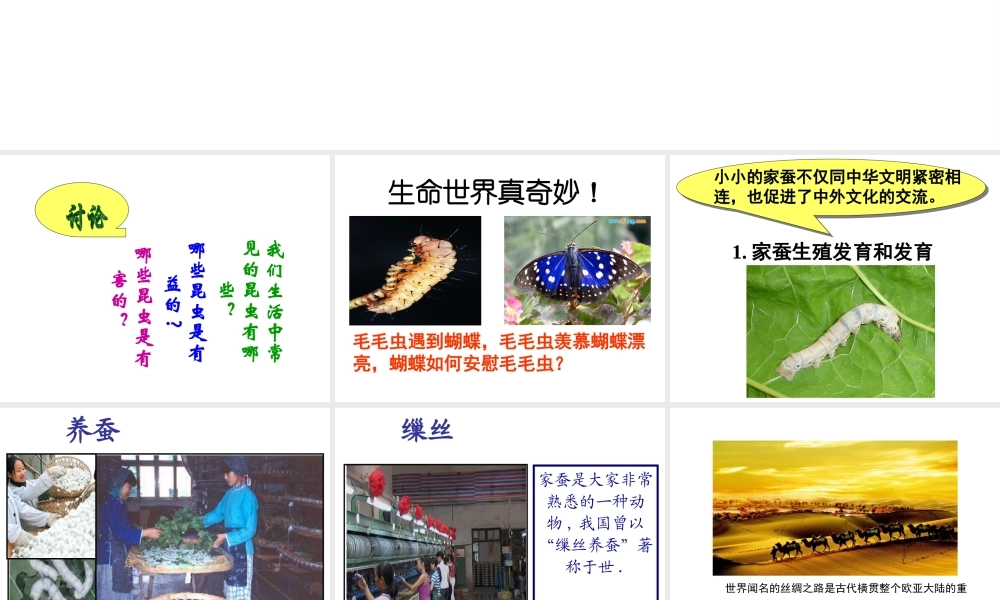 八年级生物下册 第八单元 生物的生殖、发育与遗传 第二十一章 生物的生殖与发育 第三节 昆虫的生殖与发育课件3（新版）苏教版-（新版）苏教级下册生物课件