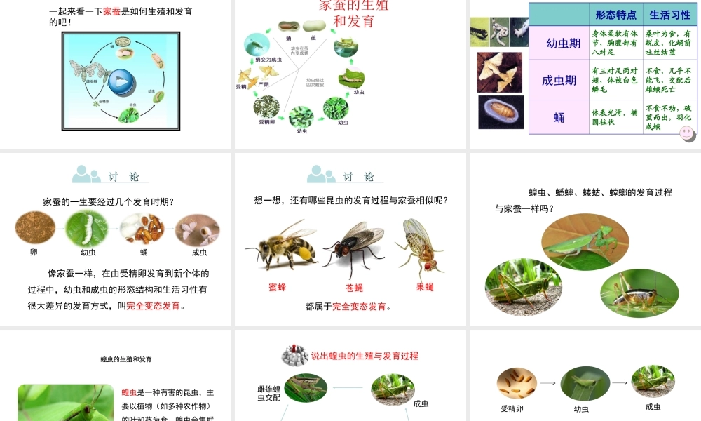 八年级生物下册 第八单元 生物的生殖、发育与遗传 第二十一章 生物的生殖与发育 第三节 昆虫的生殖与发育课件3（新版）苏教版-（新版）苏教级下册生物课件