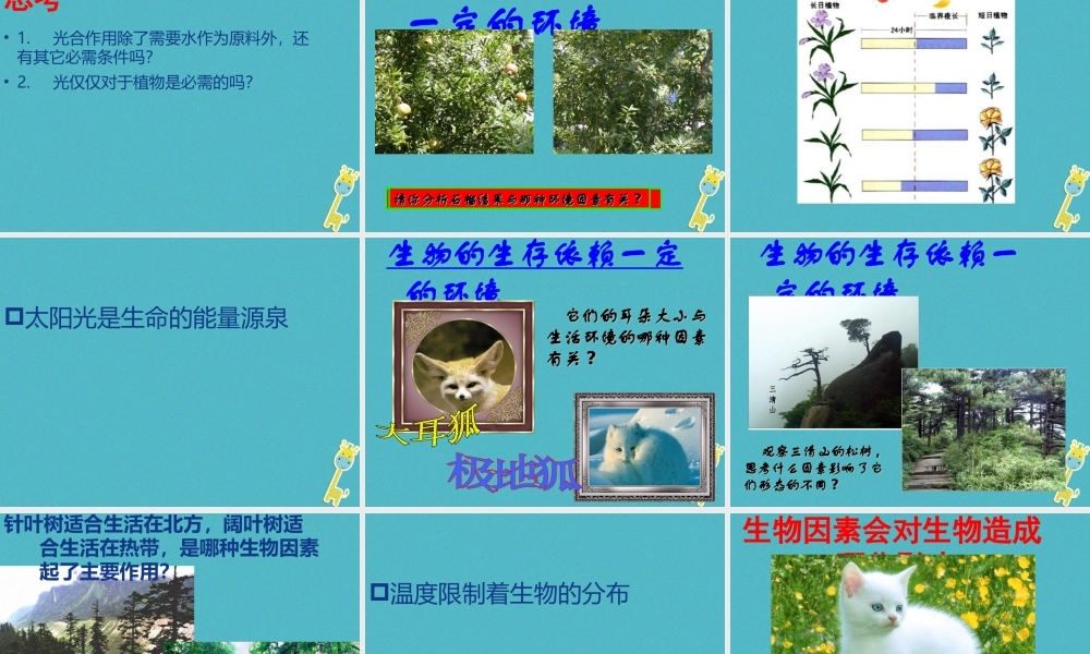 八年级生物下册 第23章 第1节 生物的生存依赖一定环境课件 （新版）北师大版-（新版）北师大版初中八年级下册生物课件