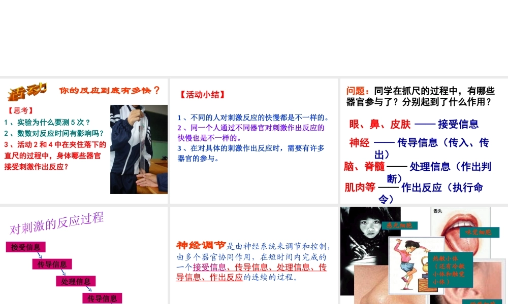 八年级科学上册 3.3 神经调节（第一课时）课件 浙教版