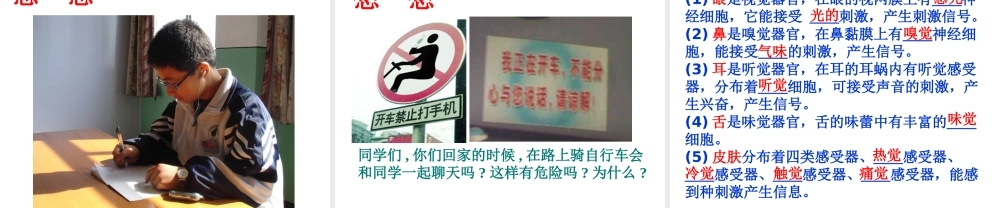 八年级科学上册 3.3 神经调节（第一课时）课件 浙教版