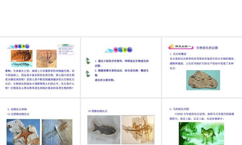 八年级生物下册 第9单元 第24章 第二节 生物进化的历程课件 苏教版