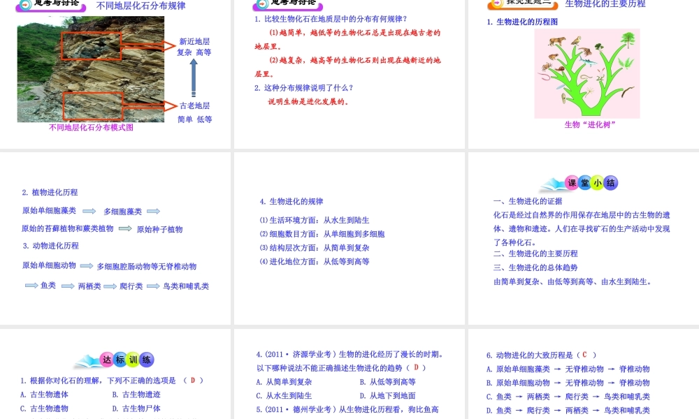 八年级生物下册 第9单元 第24章 第二节 生物进化的历程课件 苏教版