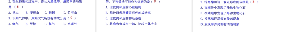 八年级生物下册 第9单元 第24章 第二节 生物进化的历程课件 苏教版