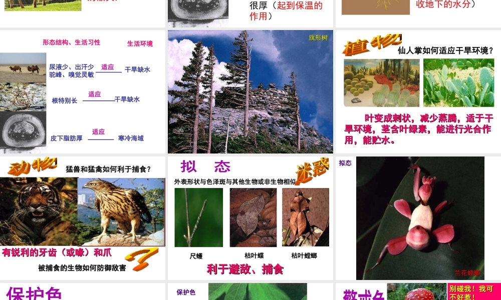 八年级生物下册 第7单元 第1章 第2节 生物对环境的适应和影响课件 （新版）冀教版-（新版）冀教级下册生物课件