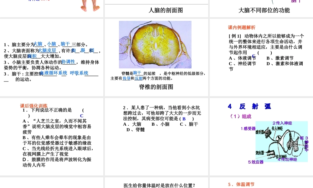 八年级科学上册 3.3 神经调节课件1 浙教版-浙教版初中八年级上册自然科学课件