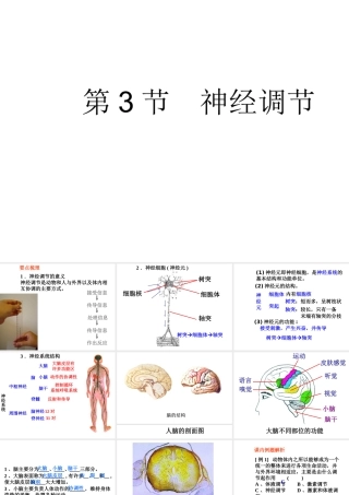 八年级科学上册 3.3 神经调节课件1 浙教版-浙教版初中八年级上册自然科学课件