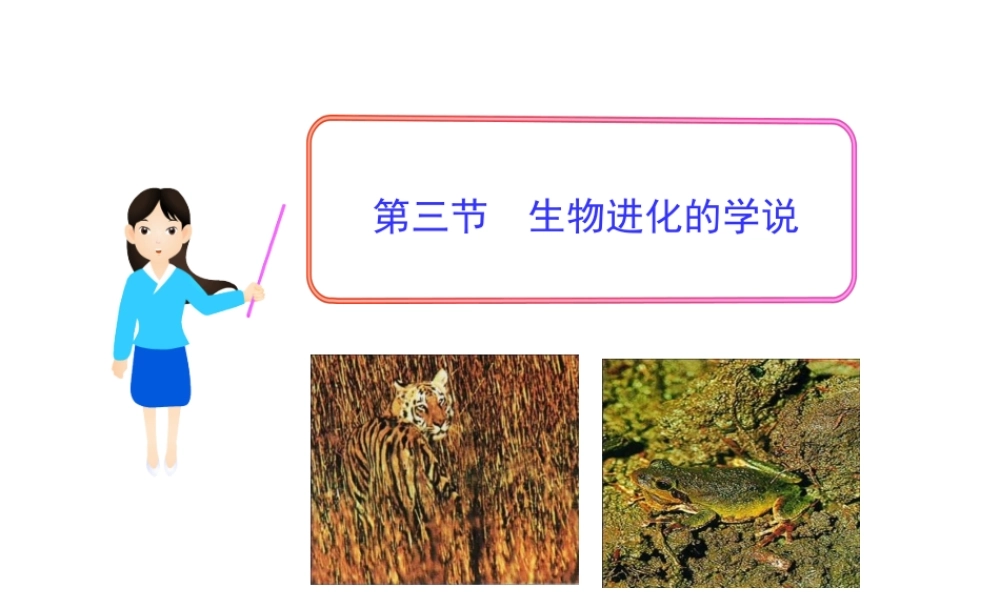 八年级生物下册 第9单元 第24章 第三节 生物进化的学说课件 苏教版