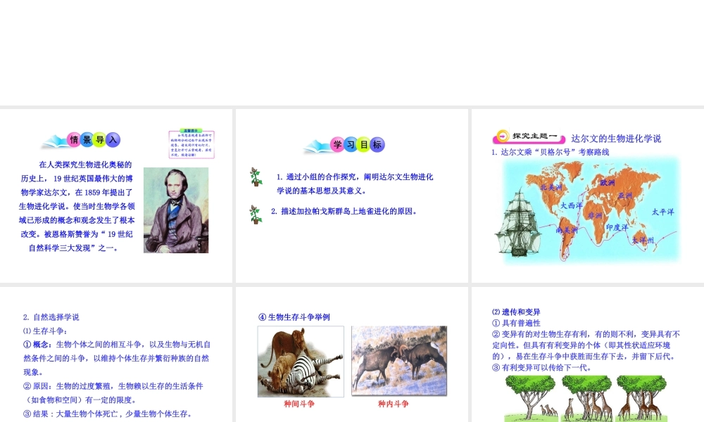 八年级生物下册 第9单元 第24章 第三节 生物进化的学说课件 苏教版