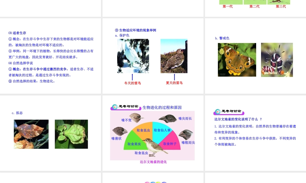 八年级生物下册 第9单元 第24章 第三节 生物进化的学说课件 苏教版