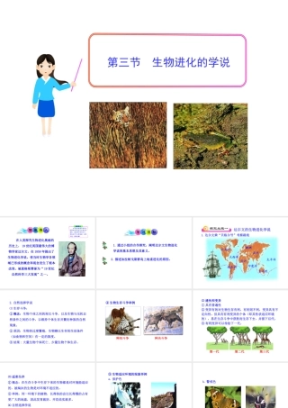 八年级生物下册 第9单元 第24章 第三节 生物进化的学说课件 苏教版