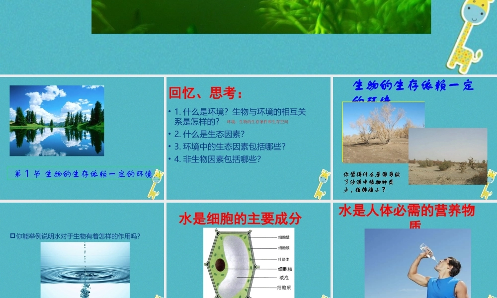 八年级生物下册 第23章 第1节 生物的生存依赖一定环境课件 （新版）北师大版-（新版）北师大级下册生物课件