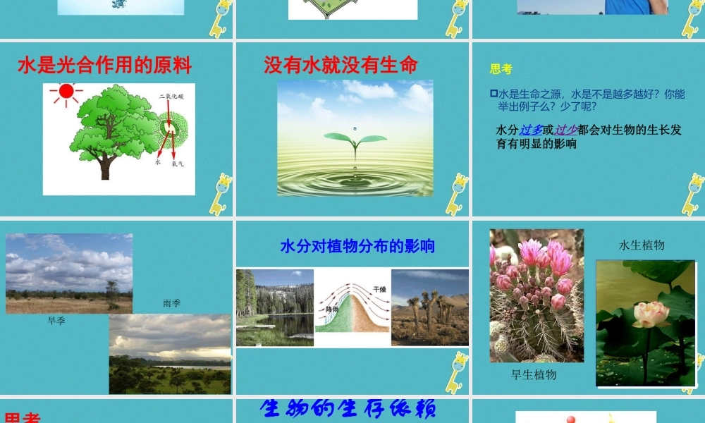 八年级生物下册 第23章 第1节 生物的生存依赖一定环境课件 （新版）北师大版-（新版）北师大级下册生物课件