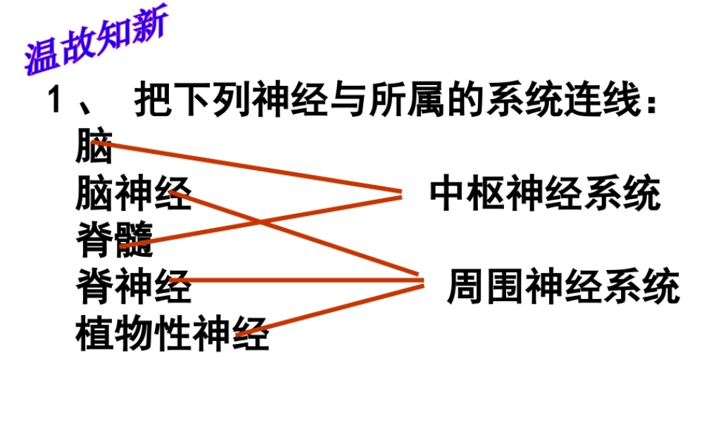 八年级科学上册 3.3 神经调节课件2 浙教版-浙教版初中八年级上册自然科学课件