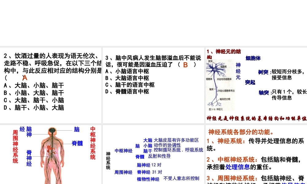 八年级科学上册 3.3 神经调节课件2 浙教版-浙教版初中八年级上册自然科学课件