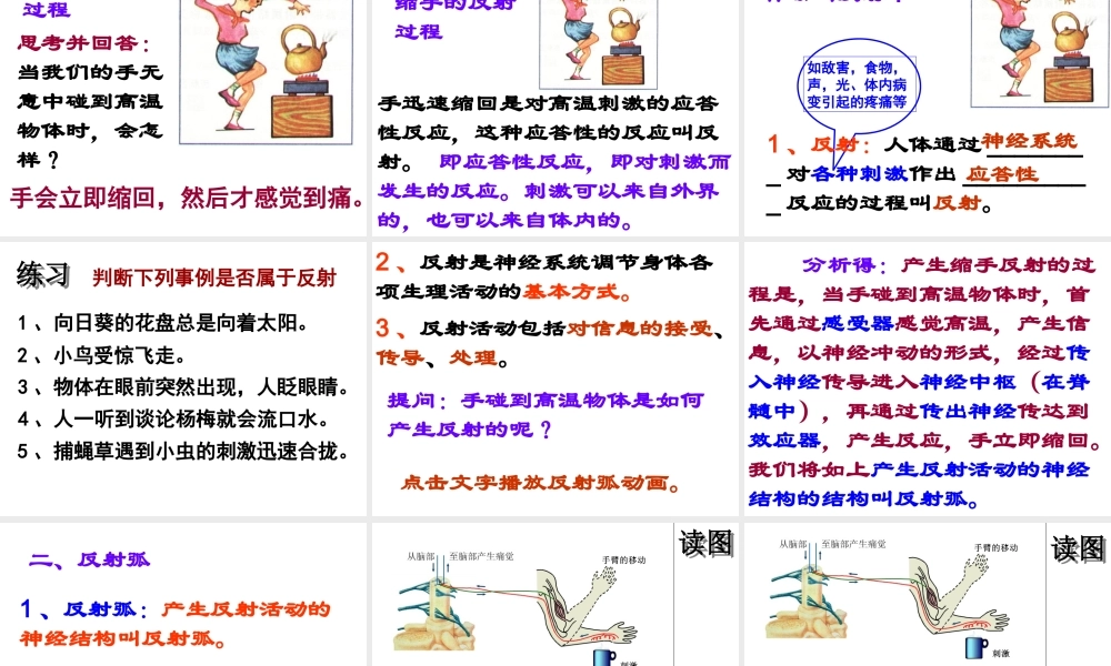 八年级科学上册 3.3 神经调节课件2 浙教版-浙教版初中八年级上册自然科学课件