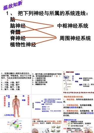 八年级科学上册 3.3 神经调节课件2 浙教版-浙教版初中八年级上册自然科学课件
