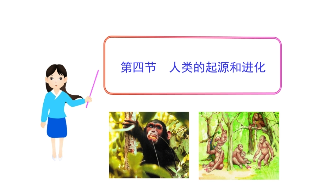 八年级生物下册 第9单元 第24章 第四节 人类的起源和进化课件 苏教版