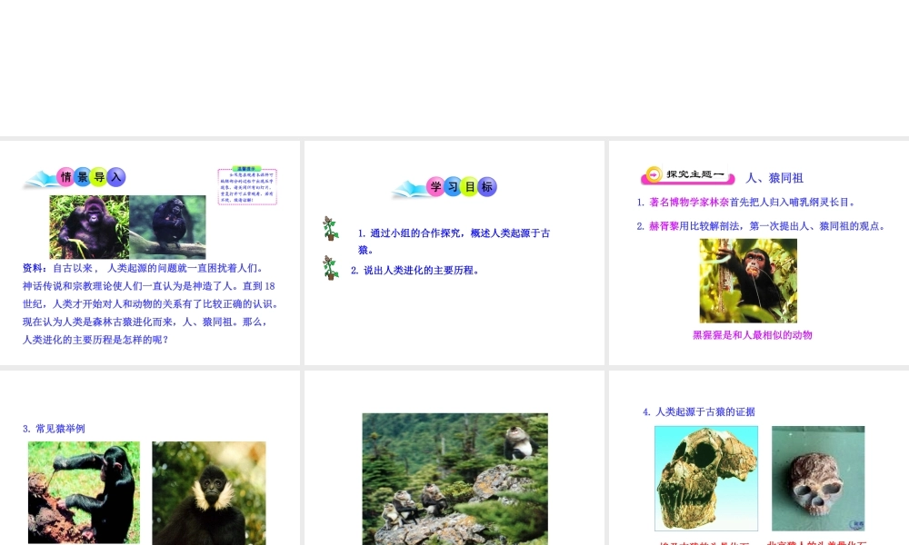 八年级生物下册 第9单元 第24章 第四节 人类的起源和进化课件 苏教版