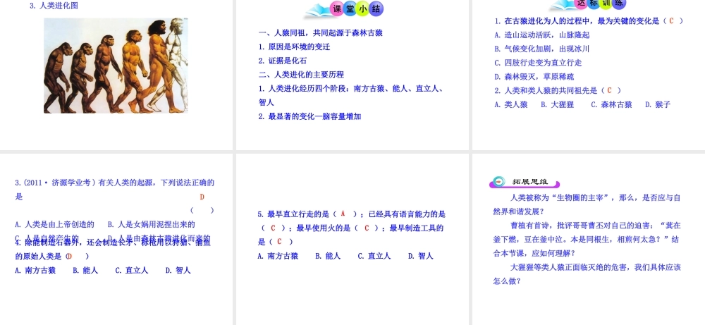八年级生物下册 第9单元 第24章 第四节 人类的起源和进化课件 苏教版