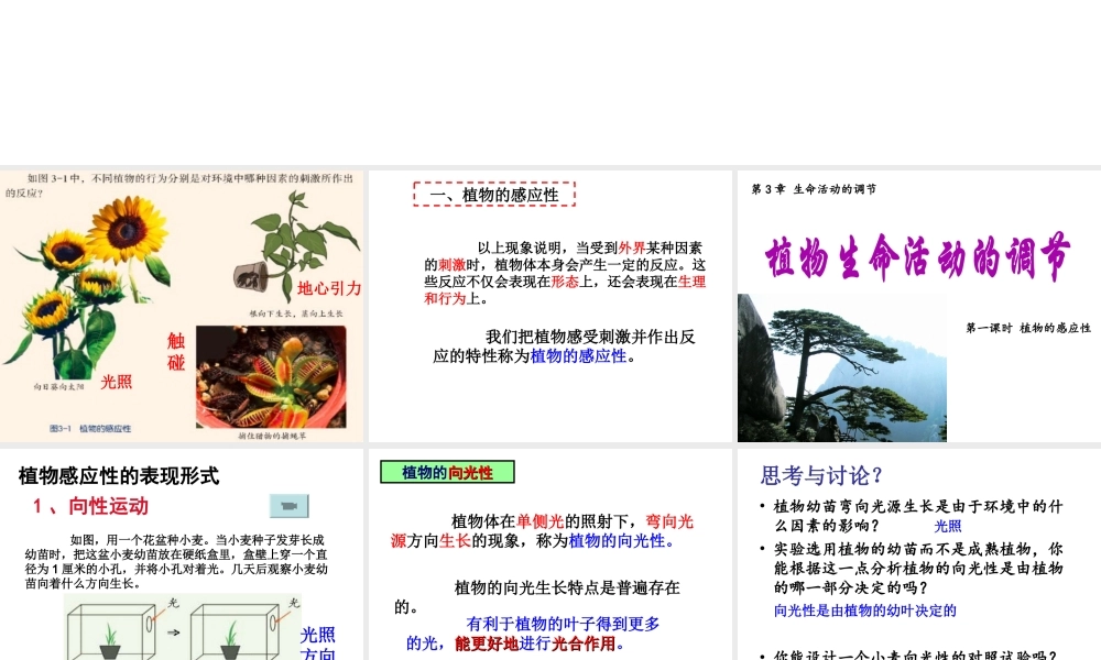 八年级科学上册 第3章 生命活动的调节 3.1《植物生命活动的调节》课件（1） 浙教版-浙教版初中八年级上册自然科学课件
