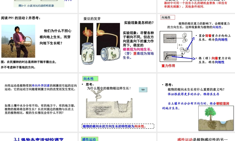 八年级科学上册 第3章 生命活动的调节 3.1《植物生命活动的调节》课件（1） 浙教版-浙教版初中八年级上册自然科学课件