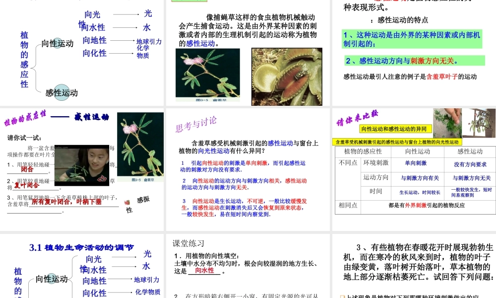 八年级科学上册 第3章 生命活动的调节 3.1《植物生命活动的调节》课件（1） 浙教版-浙教版初中八年级上册自然科学课件
