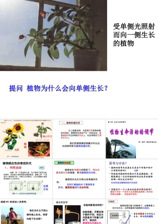 八年级科学上册 第3章 生命活动的调节 3.1《植物生命活动的调节》课件（1） 浙教版-浙教版初中八年级上册自然科学课件