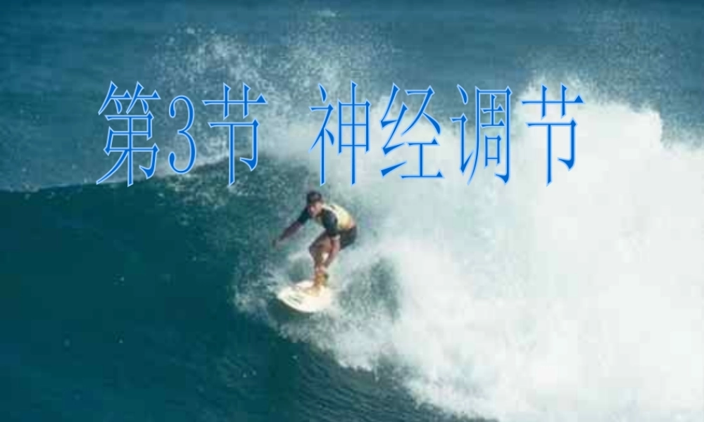 八年级科学上册 3.3 神经调节课件3 浙教版-浙教版初中八年级上册自然科学课件