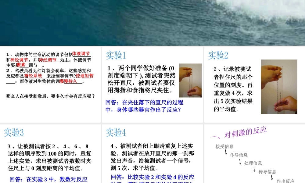 八年级科学上册 3.3 神经调节课件3 浙教版-浙教版初中八年级上册自然科学课件