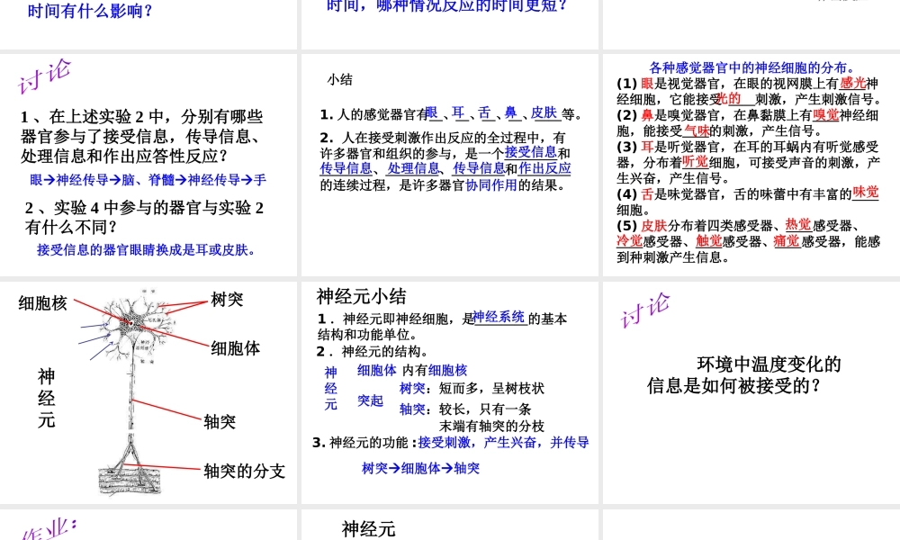 八年级科学上册 3.3 神经调节课件3 浙教版-浙教版初中八年级上册自然科学课件