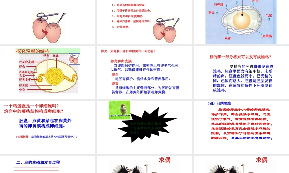 八年级生物下册 第7单元 第1章 第4节 鸟的生殖和发育课件 （新版）新人教版-（新版）新人教版初中八年级下册生物课件