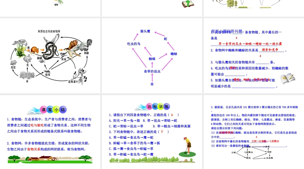 八年级生物下册 第23章 第2节 生态系统的结构和功能（第1课时）课件 北师大版