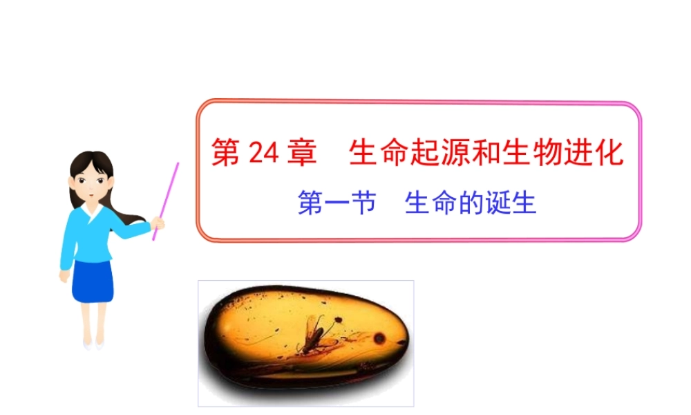 八年级生物下册 第9单元 第24章 第一节 生命的诞生课件 苏教版