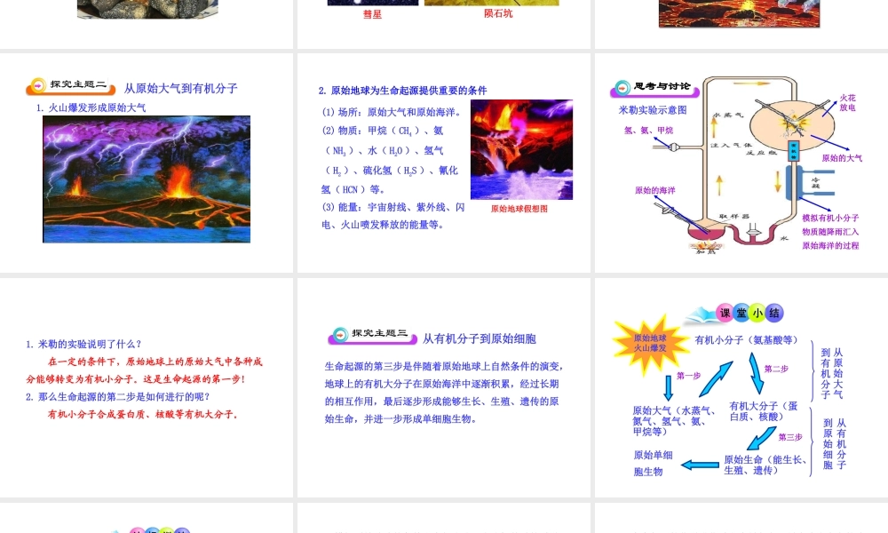 八年级生物下册 第9单元 第24章 第一节 生命的诞生课件 苏教版