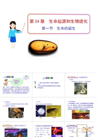八年级生物下册 第9单元 第24章 第一节 生命的诞生课件 苏教版